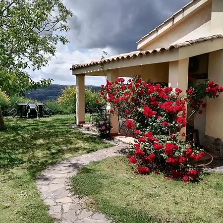 S'orrosa Bifamiliare In Montagna Panorama Stupendo Sardegna