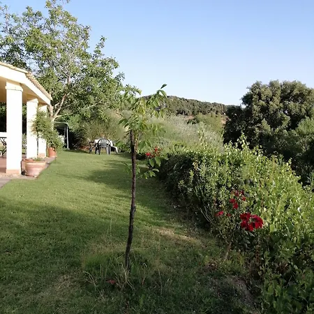 度假居 S'orrosa Bifamiliare In Montagna Panorama Stupendo Sardegna