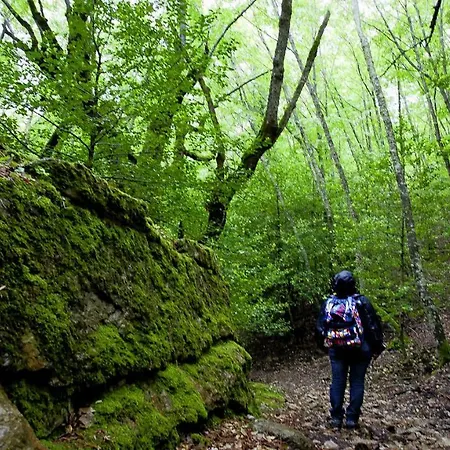 度假居 S'orrosa Bifamiliare In Montagna Panorama Stupendo Sardegna Seùlo