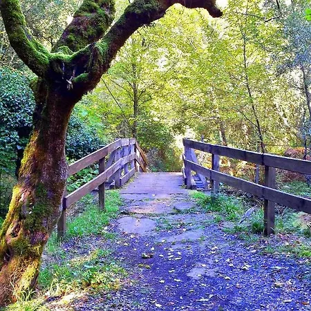 S'orrosa Bifamiliare In Montagna Panorama Stupendo Sardegna *